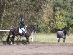 2017 Udkantscup dressur ØLR september